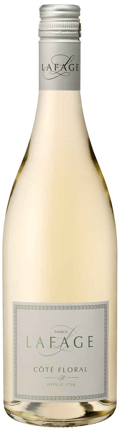 דומיין לפאג' קוט פלוראל