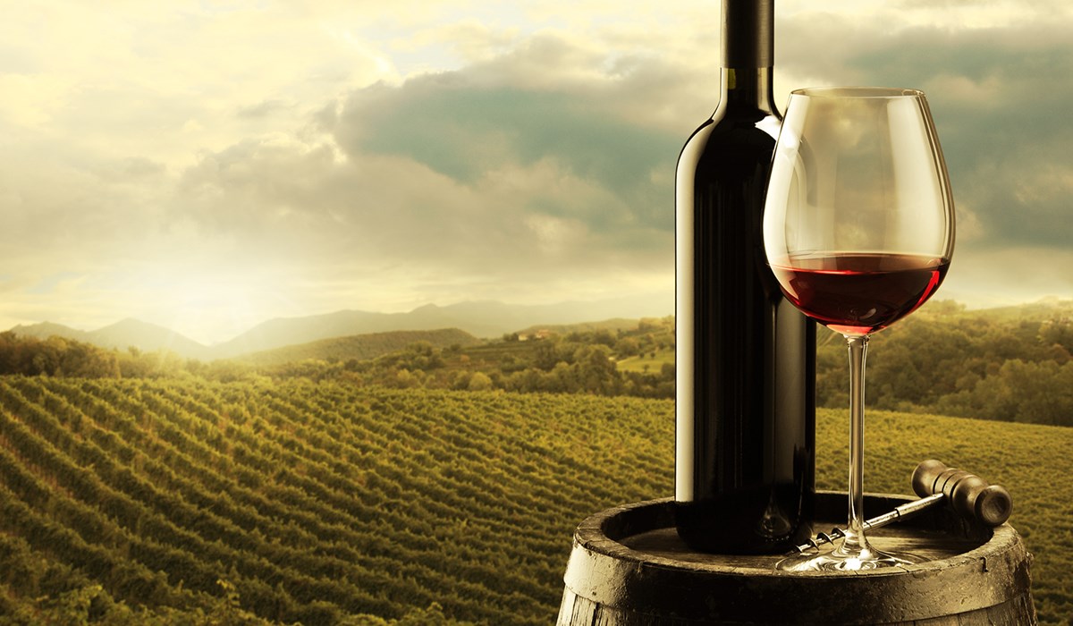 3 הסודות למציאת יינות VFM