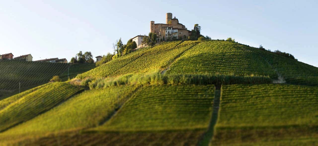 כרמי יקב וייטי - המצודה בקסטליונה