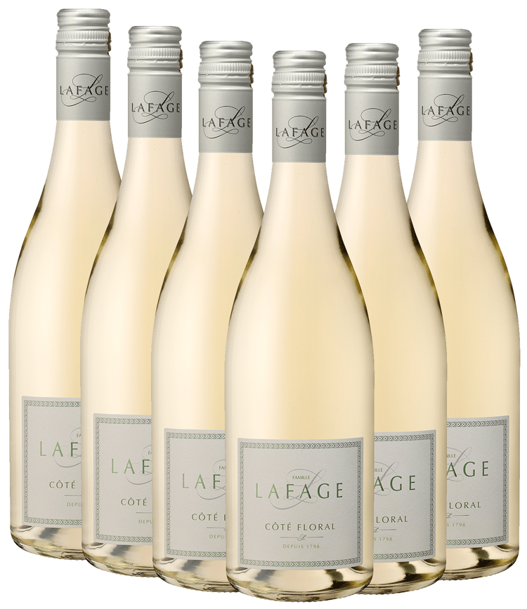 דומיין לפאג' קוט פלוראל