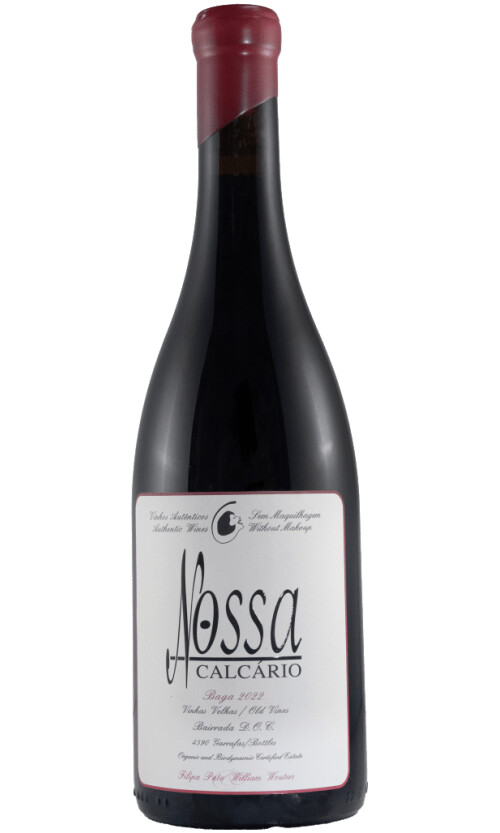 ⁦פאטו וינוס נוסה קאלקריו באגה ביירדה 2023⁩ – תמונה ⁦1⁩