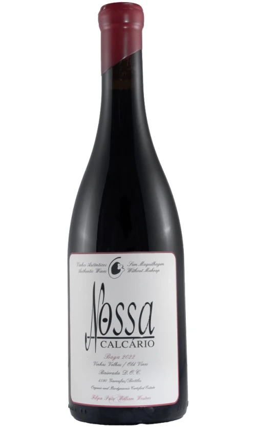 ⁦פאטו וינוס נוסה קאלקריו באגה ביירדה 2023⁩ – תמונה ⁦1⁩