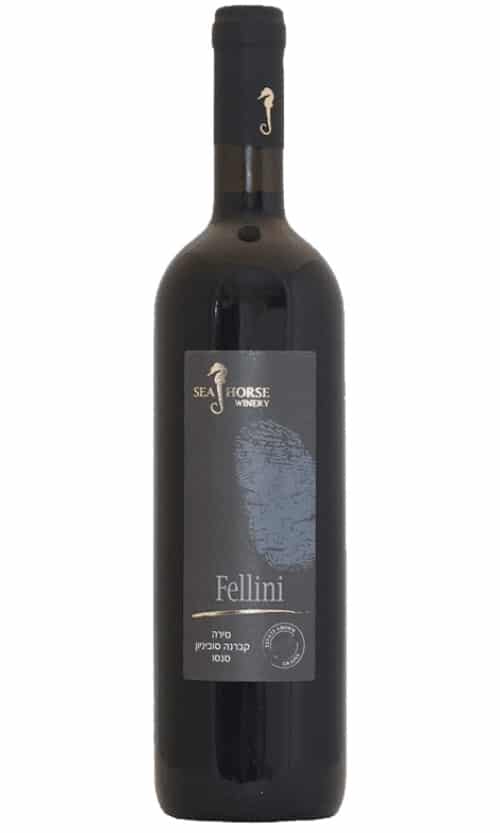 ⁦סוסון ים פליני 2022⁩ – תמונה ⁦1⁩