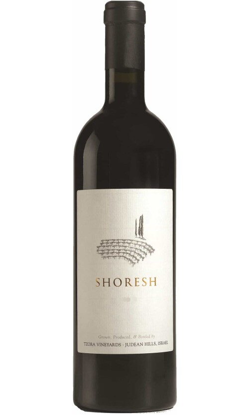 ⁦צרעה שורש⁩ – תמונה ⁦1⁩