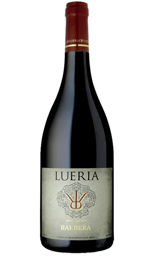 ⁦לוריא ברברה⁩ – תמונה ⁦1⁩