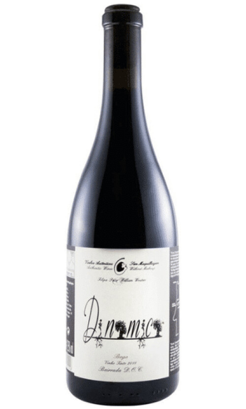 Filipa-Pato-Dinamica-White-Portugal-1 פאטו וינוס די.אן.אם.סי באגה אדום – תמונה 1