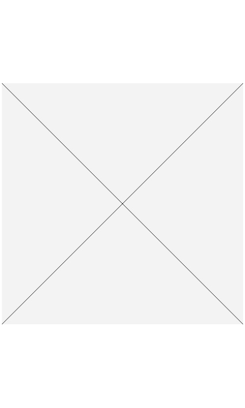 Kinhemer-Rosenberg-Riesling-Dry-GG-2021 דר לוסן קינהיימר קוזנברג ריזלינג יבש GG – תמונה 1