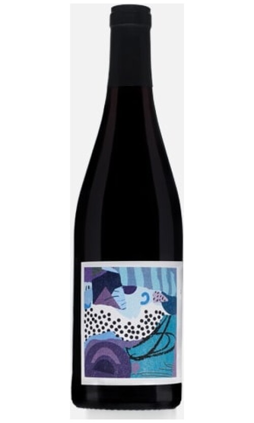 ⁦דומיין פיליפ וויט רנייה הוט רונז קווה מוזייק 1.5 2019⁩ – תמונה ⁦1⁩