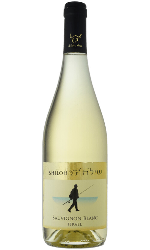 ⁦שילה סוביניון בלאן⁩ – תמונה ⁦1⁩