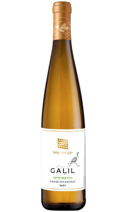 ⁦גליל גווירצטרמינר⁩ – תמונה ⁦1⁩