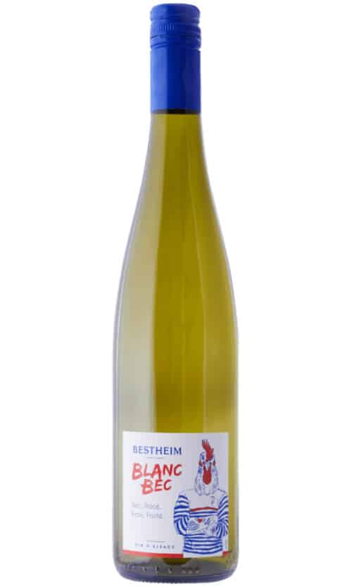 ⁦בסטהיים בלאן בק (סו פרנץ')⁩ – תמונה ⁦1⁩