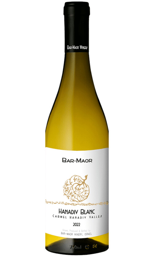 ⁦בר מאור הנדיב בלאן⁩ – תמונה ⁦1⁩