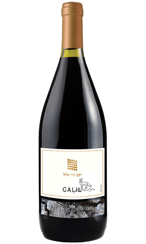 ⁦גליל אלון מגנום⁩ – תמונה ⁦1⁩