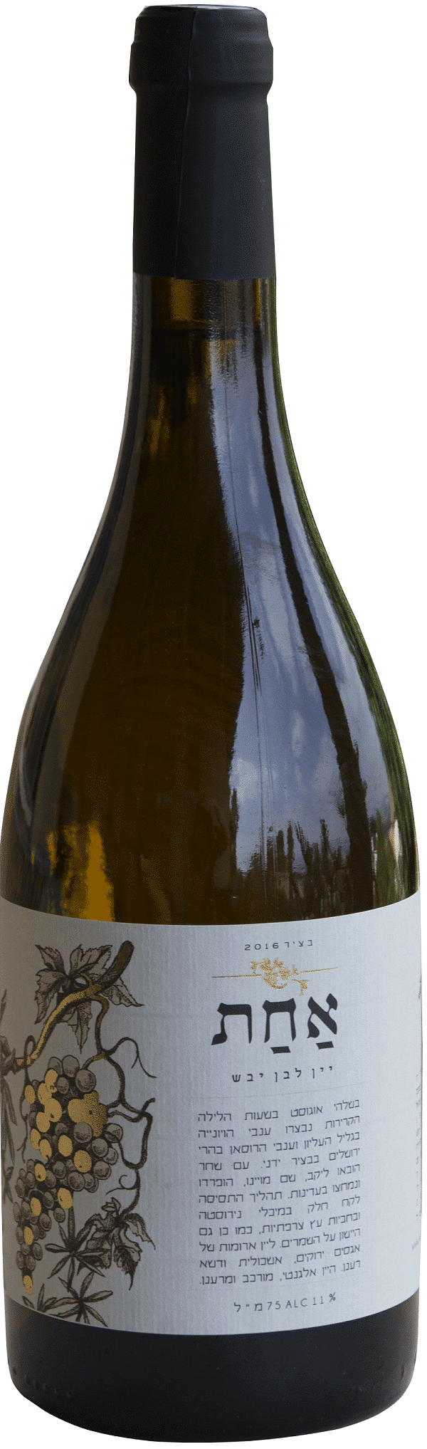 האחת-לבן-יבש