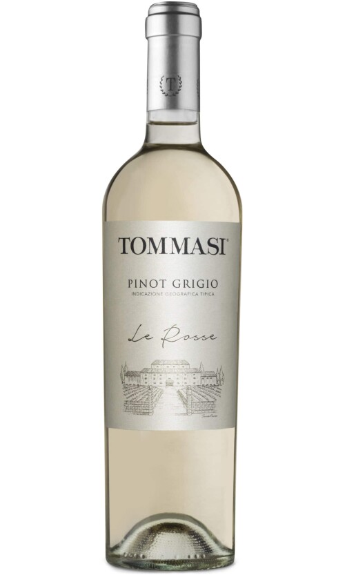 ⁦טומאסי פינו גרגי'ו⁩ – תמונה ⁦1⁩