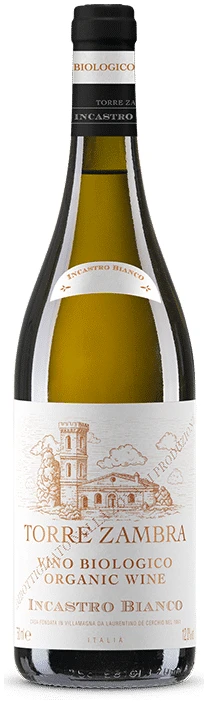 טורה-זמברה-אינקסטרו-לבן טורה זמברה אינקסטרו לבן – תמונה 1