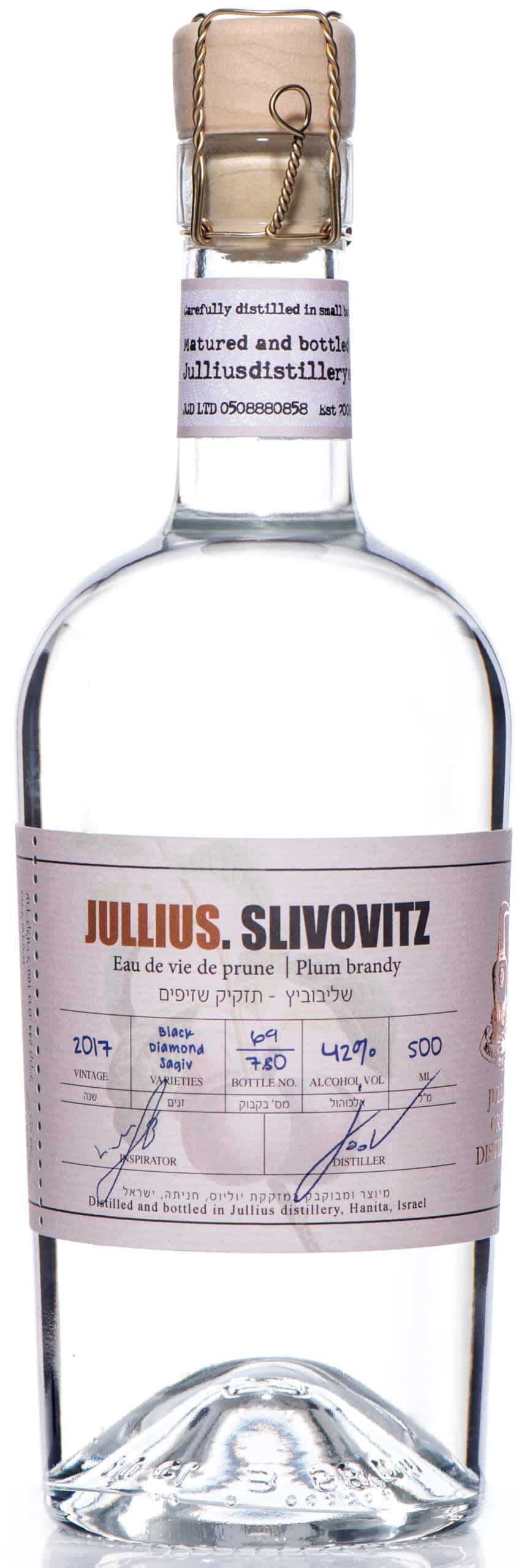 יוליוס-שליבוביץ-2