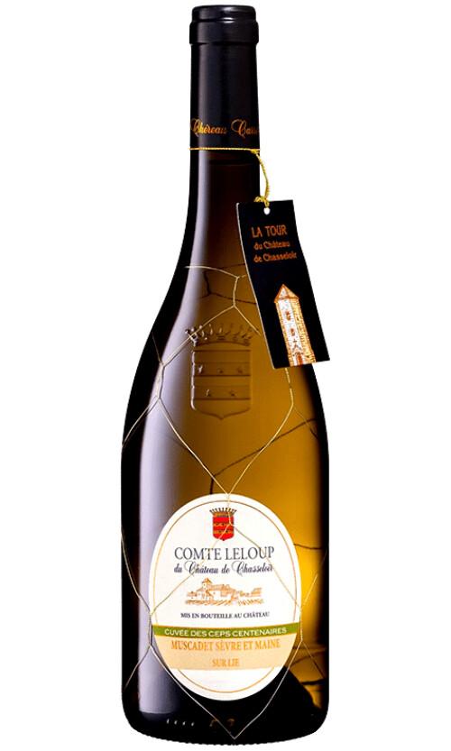 ⁦מוסקדה שאסלואר קומט ללופ⁩ – תמונה ⁦1⁩