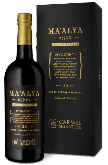 כרמל-מעליא-פורט