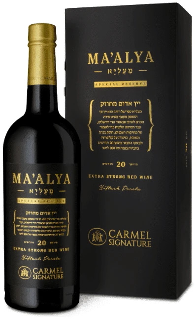 כרמל-מעליא-פורט