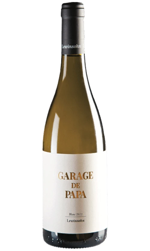 ⁦לוינסון לבן⁩ – תמונה ⁦1⁩