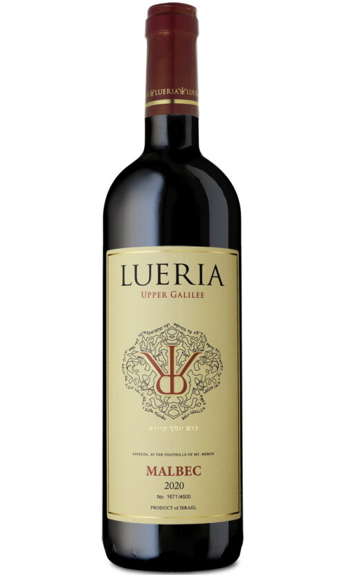 ⁦לוריא מלבק⁩ – תמונה ⁦1⁩