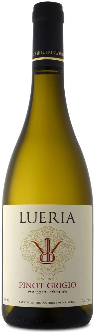 לוריא-פינו-גריגיו