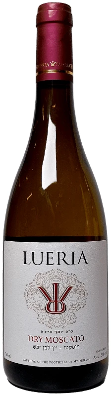 לוריא_מוסקט