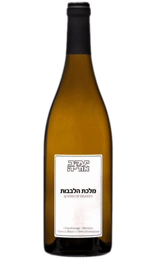 ⁦יעקב אוריה מלכת הלבבות⁩ – תמונה ⁦1⁩