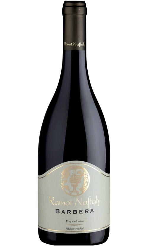 ⁦רמות נפתלי ברברה⁩ – תמונה ⁦1⁩