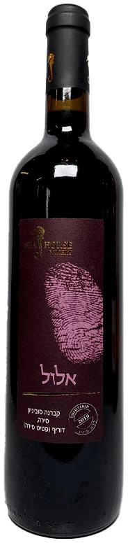 סוסול_ים_אלול11