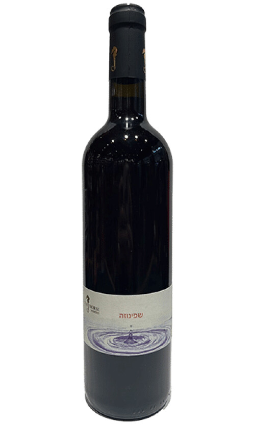 ⁦סוסון ים שפינוזה⁩ – תמונה ⁦1⁩