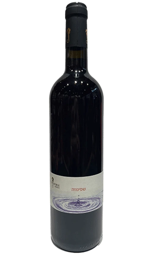 סוסון-ים-שפינוזה סוסון ים שפינוזה – תמונה 1