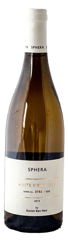 ספרה-וויטסיגצר2