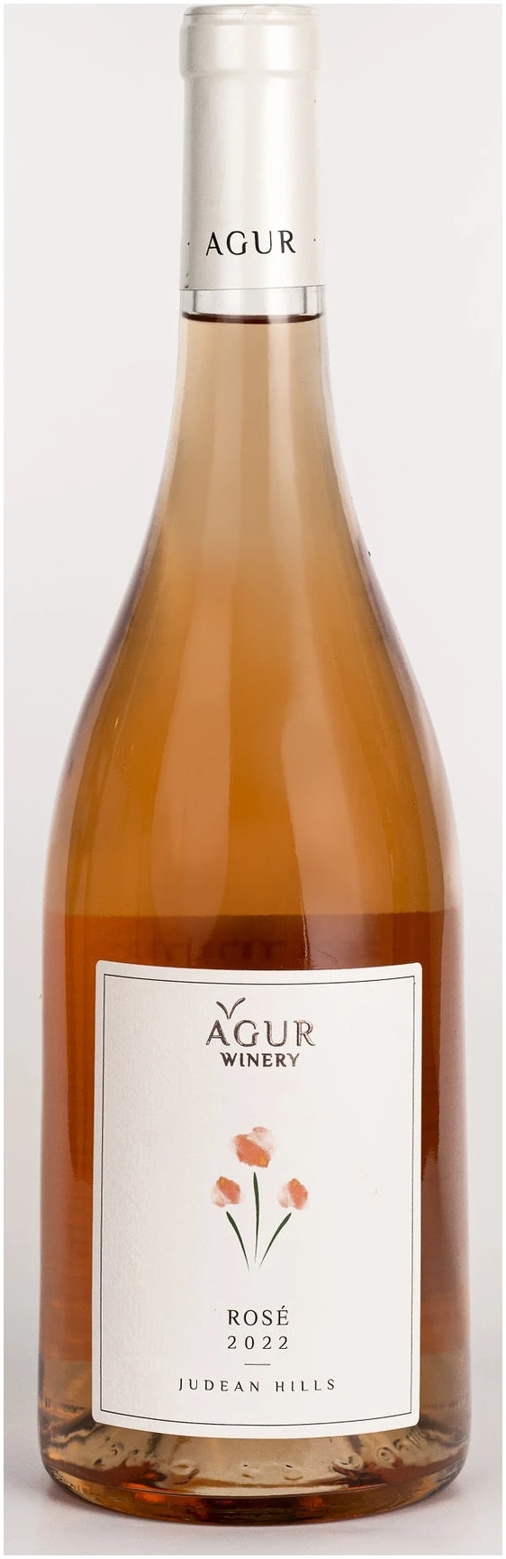 עגור-ורוד-2022