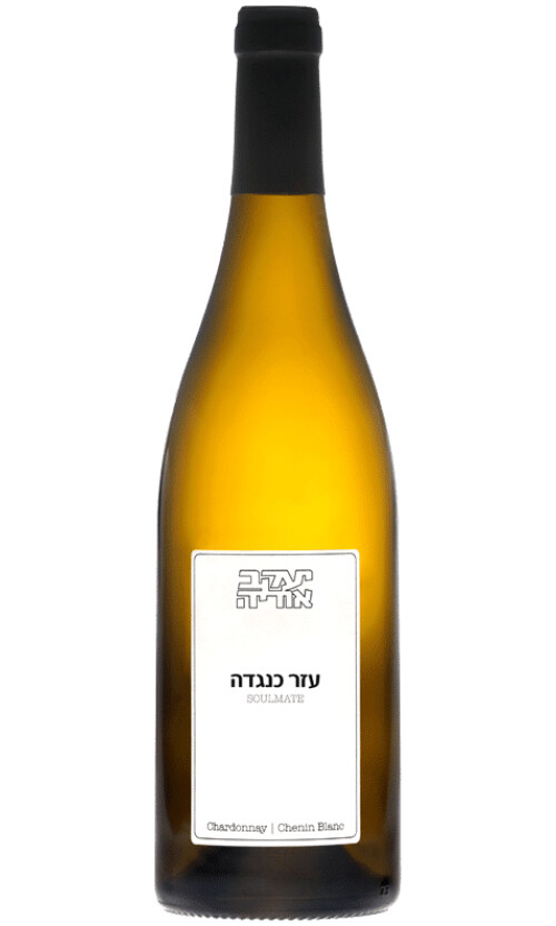 עזר-כנגדה יעקב אוריה עזר כנגדה – תמונה 1