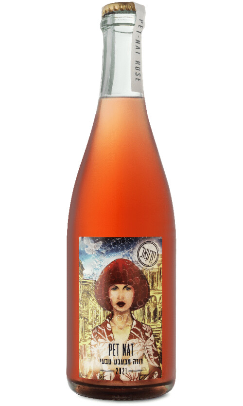 ⁦עמק יזרעאל פט נט⁩ – תמונה ⁦1⁩