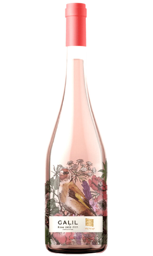 ⁦גליל רוזה⁩ – תמונה ⁦1⁩