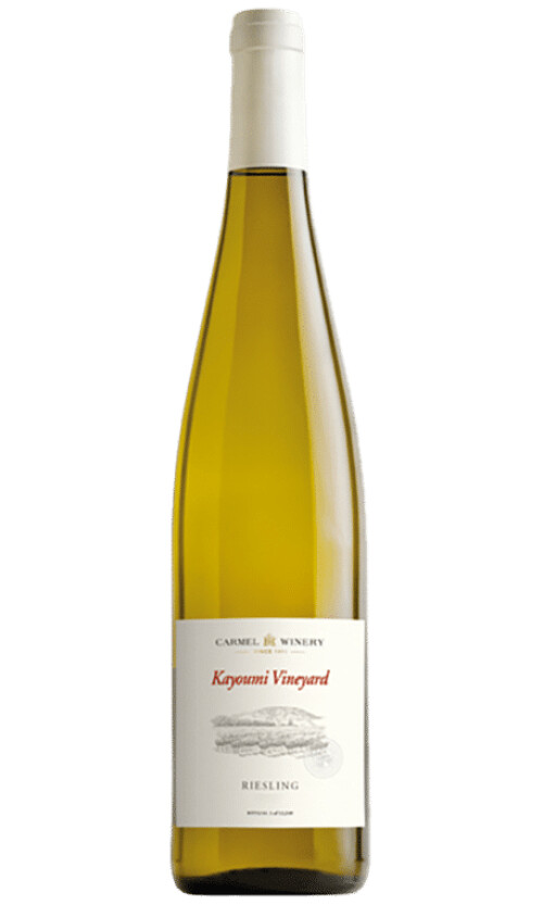 ⁦כרמל קיומי ריזלינג⁩ – תמונה ⁦1⁩