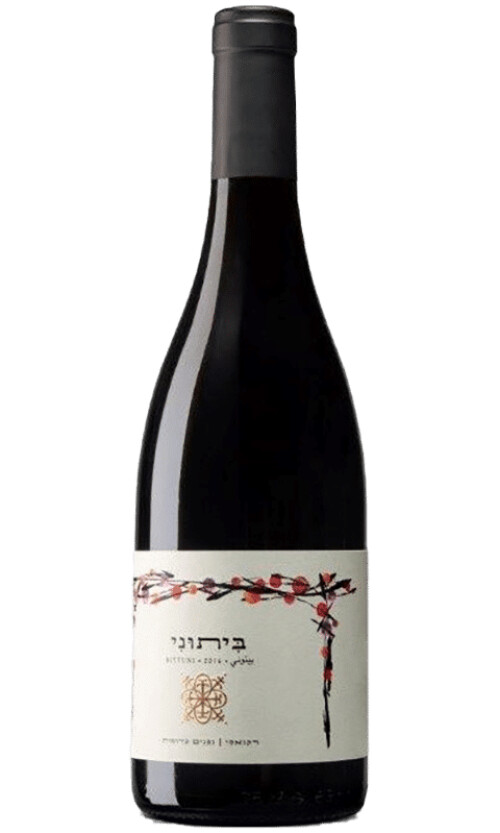 ⁦רקנאטי ביתוני⁩ – תמונה ⁦1⁩