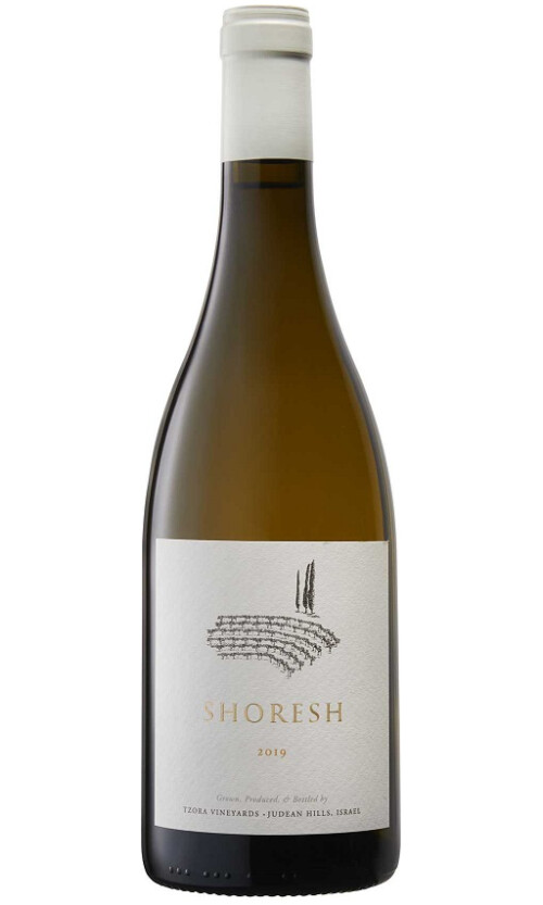 ⁦צרעה שורש לבן⁩ – תמונה ⁦1⁩