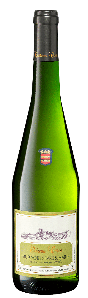 שרו-קארה-מוסקדה-שאסלואר-סוורה