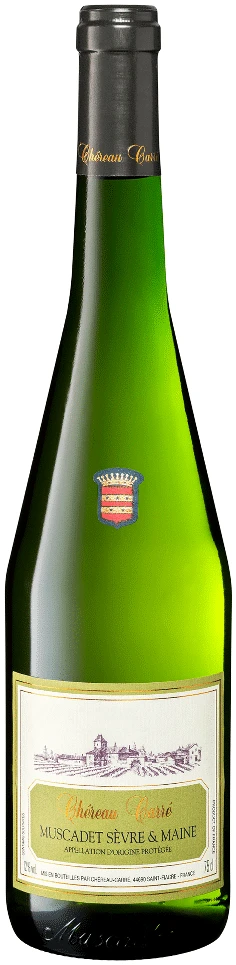 שרו-קארה-מוסקדה-שאסלואר-סוורה