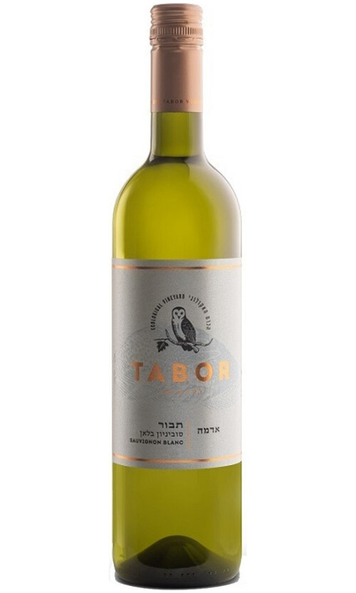 ⁦תבור אדמה ס.ב⁩ – תמונה ⁦1⁩