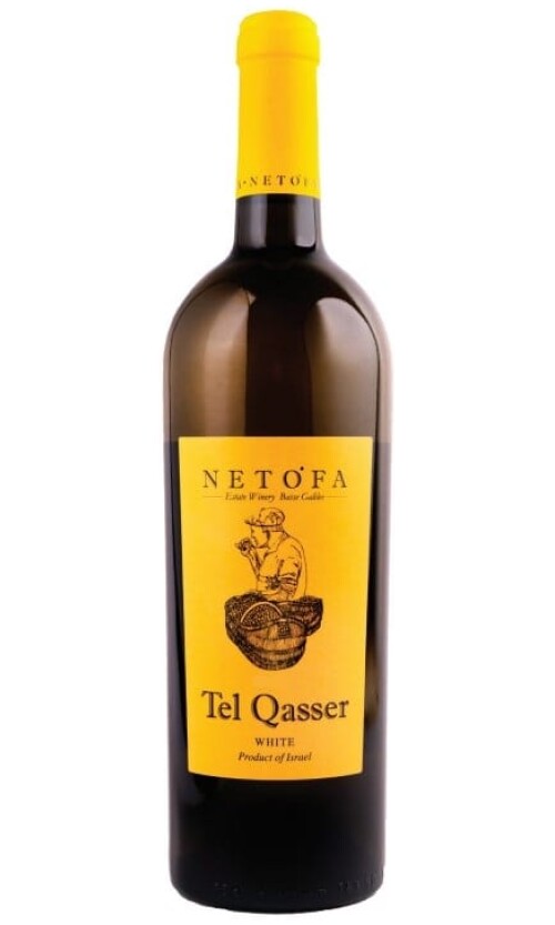 ⁦נטופה תל קאסר לבן⁩ – תמונה ⁦1⁩