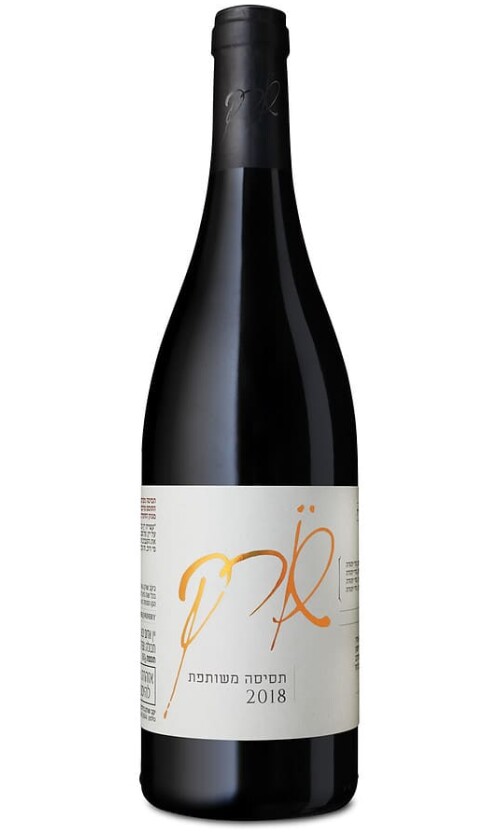 ⁦שורק תסיסה משותפת⁩ – תמונה ⁦1⁩