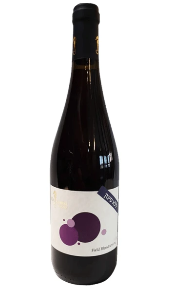 סוסון ים פילד בלנד בר גיורא