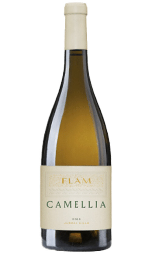 Untitled-13.png פלם לבן קמליה – תמונה 1