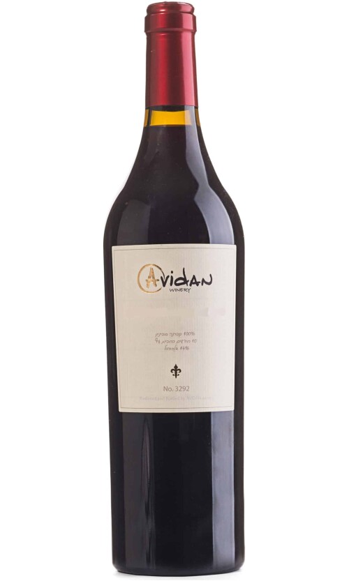 ⁦אבידן מרסלאן⁩ – תמונה ⁦1⁩