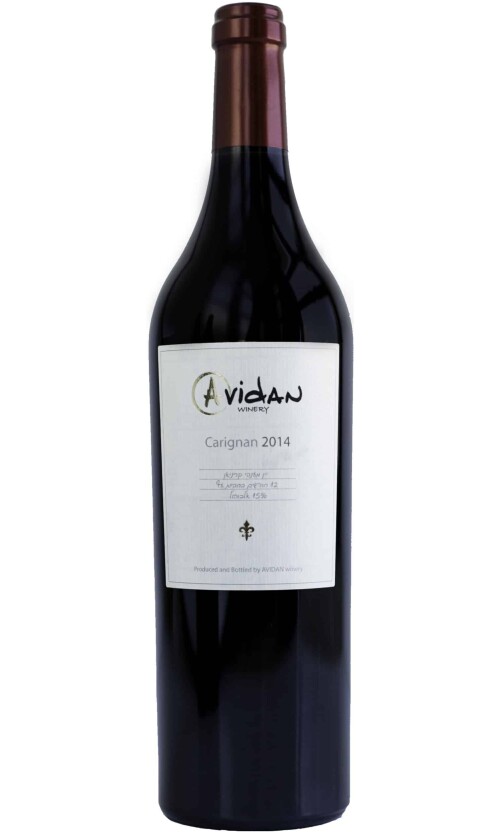 ⁦אבידן קריניאן⁩ – תמונה ⁦1⁩